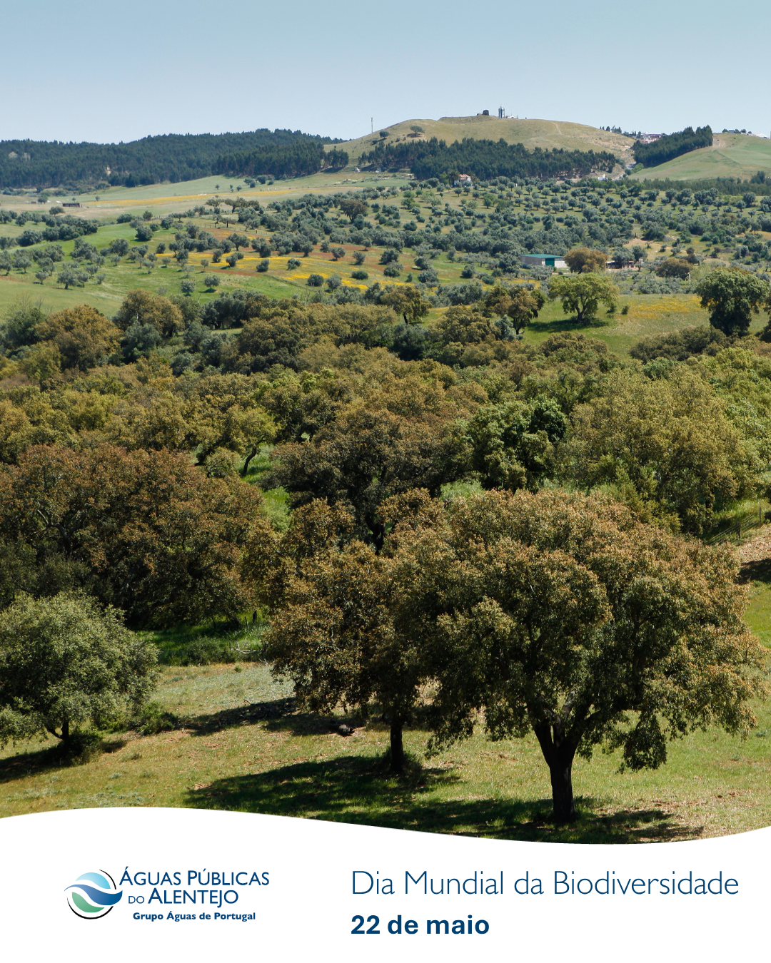 2026 Dia Mundial da Biodiversidade AgdA 1